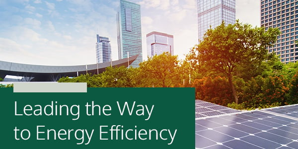 Leading the Way to Energy Efficiency